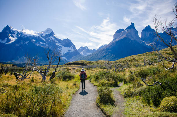 High-altitude trail in the Andes mountains